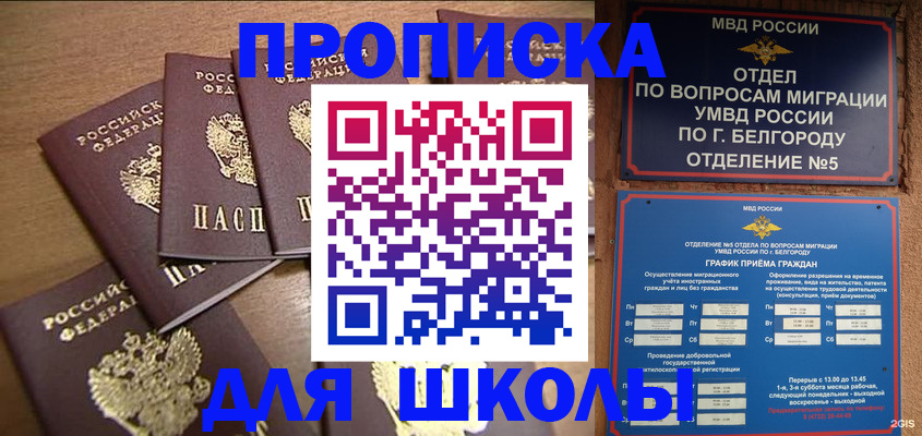 прописка гарантия в Александровске